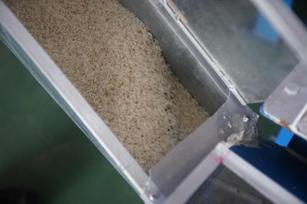 16a1ae2f-56af-4729-a0c6-9c37b0078d51